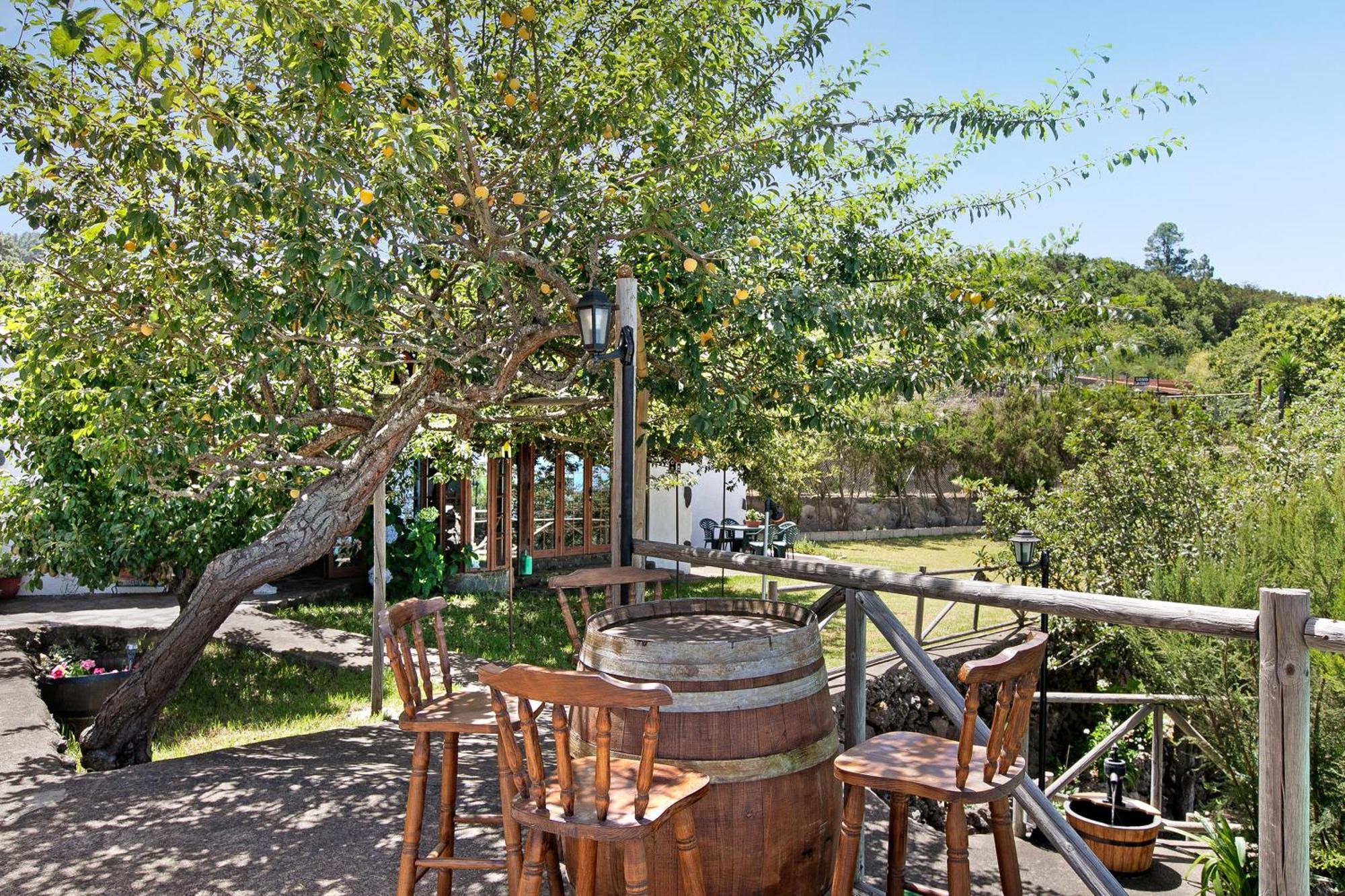 Finca Las Carmenes Icod De Los Vinos Exterior foto